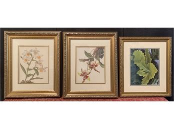 3 Unmarked Floral Prints In Gold Toned Frames
