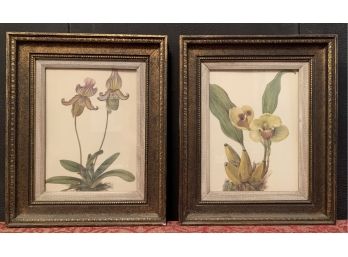 2 Unmarked Floral Prints In 11.5'x14' Frames