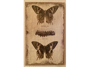 Butterfly And Burlap Wall Decor