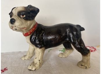 Super Heavy Antique Cast Iron Boston Terrier With Red Collar Paperweight