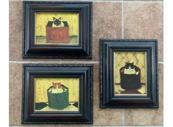 3 Bombay Co. Cat Pictures