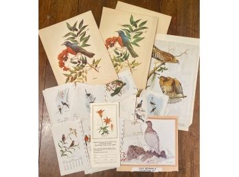 Lot Of Bird And Flower Themed Prints