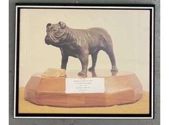 The Boss Photo Framed Of Bulldog Sculpture 1940
