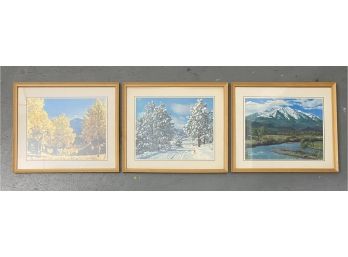 3 Vintage Photo Prints Of Spring Winter And Fall In Colorado