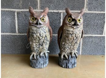 Pair Of Owl Decoys