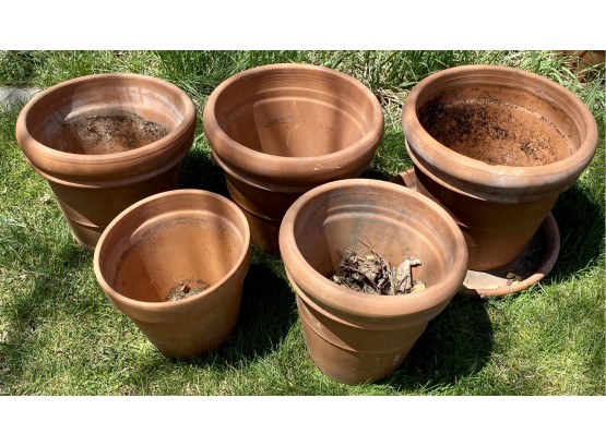Collection Of Five Terracotta Pots
