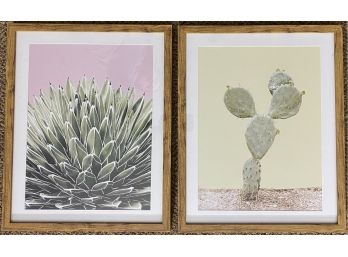 Cactus And Succulent Prints From Target