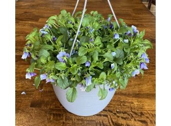 Dark Purple Potted Flowers In Plastic Hanging Basket