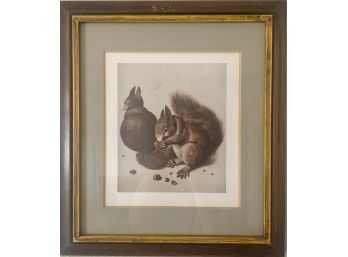 Framed Art Of Squirrels