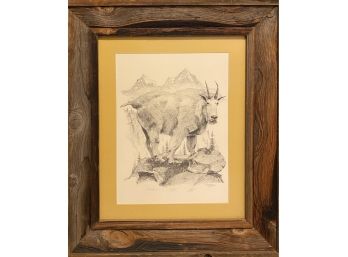 Mountain Goat Framed Print In Wooden Frame Signed In Pencil