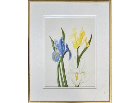 Spring Iris Water Color Signed And Framed