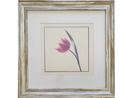 Framed And Matted Mark Baker Signed Tulip Art