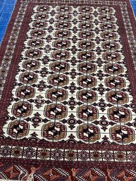 Hand Knotted Bohkara Rug 9.1x6.1 Ft  #1285