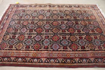 Hand Knotted Wool Shirvan Rug 9.5x6.8 Ft. #1544.