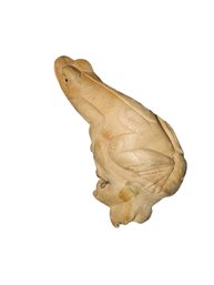 Petrified Mushroom Carved Into Frog