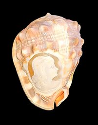 Vintage Woman Carved Cameo In The Actual Shell