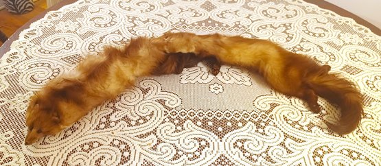 Antique Double Pelt Real Whole Fox Fur Stole With Attached Full Bodies & Chain Hook Clasp