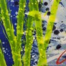 Dale Chihuly White Tower 2000 Limited Edition Lithograph With  Acrylic 75240 Local Pick Up Or UPS Store Ship)