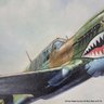 H.K. (John) Kang 1990 Oil On Canvas Curtiss P-40 Warhawk  Airplane Painting