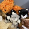 Collection Of 23 Stuffed Animal Toys