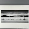 The Wild Bunch- Port Hardy 2011 Signed Original Photograph  (Local Pick Up Or UPS Store Ship Only)