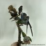 Antique Taxidermy Mixed Flock Of Birds Including A Hummingbird, Parakeet & A Jacamar (LOCAL PICKUP OR UPS STOR