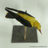 Vintage Taxidermy Eurasian Golden Oriole Mounted On A Branch (LOCAL PICKUP OR UPS STORE SHIP ONLY)