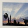 Sunrise With Palm Trees Photograph