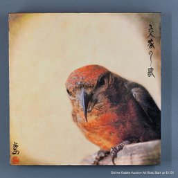 Yuko Ishii Mixed Media Photograph, Wax On Panel 2010 Song Of A Red Crossbill