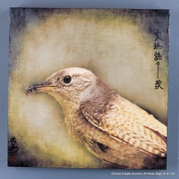 Yuko Ishii Mixed Media Photograph, Wax On Panel 2010 Song Of A House Wren