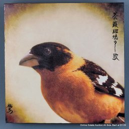 Yuko Ishii Mixed Media Photograph, Wax On Panel 2010 Song Of A Black-Headed Grosbeak