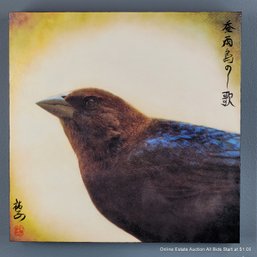 Yuko Ishii Mixed Media Photograph, Wax On Panel 2010 Song Of A Brown-headed Cowbird