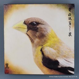 Yuko Ishii Mixed Media Photograph, Wax On Panel 2010 Song Of A Evening Grosbeak III