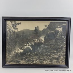 NW Herding Photo By Pioneer Photographer Lawrence Denny Lindsey