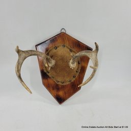 Vintage Antler Mount