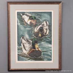 Suellen Ross Artist Proof Colored Engraving Titled Drakes Approaching (LOCAL PICKUP OR UPS STORE SHIP ONLY)