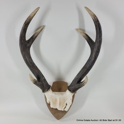 Faux European Mount Antlers Made Of Resin (LOCAL PICKUP OR UPS STORE SHIP ONLY)