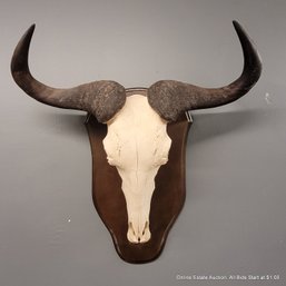 Vintage European Mount Of Wildebeest Skull (LOCAL PICKUP ONLY)
