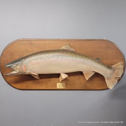 Vintage Skagit River Steelhead Salmon Mounted (LOCAL PICKUP OR UPS STORE SHIP ONLY)