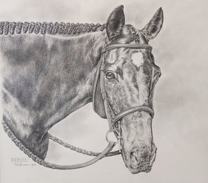 1993 Pat Wozniak Graphite Drawing Of Bernie (equine) In Frame