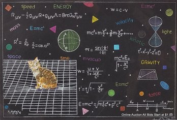 Susan Eileen Wiersema Einstein's Cat Colored Pencil On Paper