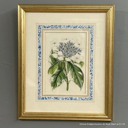 Vintage Botanical Lithograph Of Hydrangea