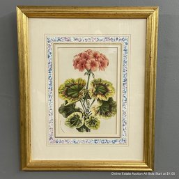 Vintage Botanical Lithograph Of Geranium