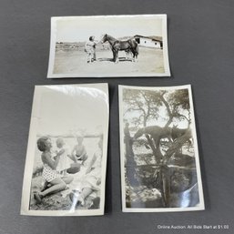 Three 1940s Snapshots With Horses