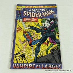 Comic Book Silver Age The Amazing Spider Man #102 1971 Marvel Comics