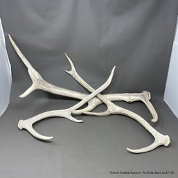 Three Antlers (Local Pick Up Or UPS Store Ship Only)