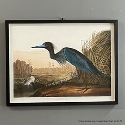 Blue Crane Or Heron Offset Lithograph In Black Frame