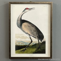 After J.J. Audubon Whooping Crane Offset Lithograph