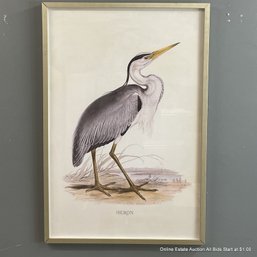 Heron Offset Lithograph In Frame By John Gould (LOCAL PICK UP ONLY)