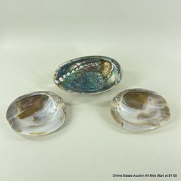 Abalone Shell And 2 Mussel Mother Of Pearl Shells